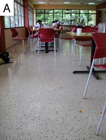 BCI dining hall