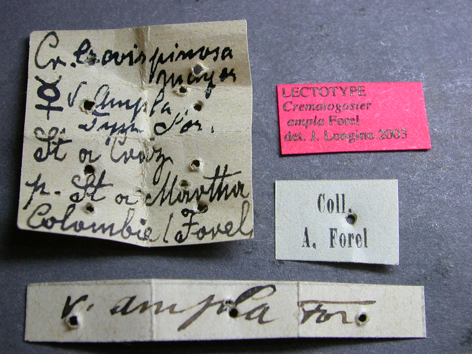 label