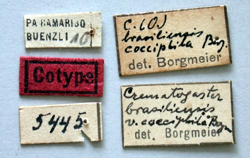 labels