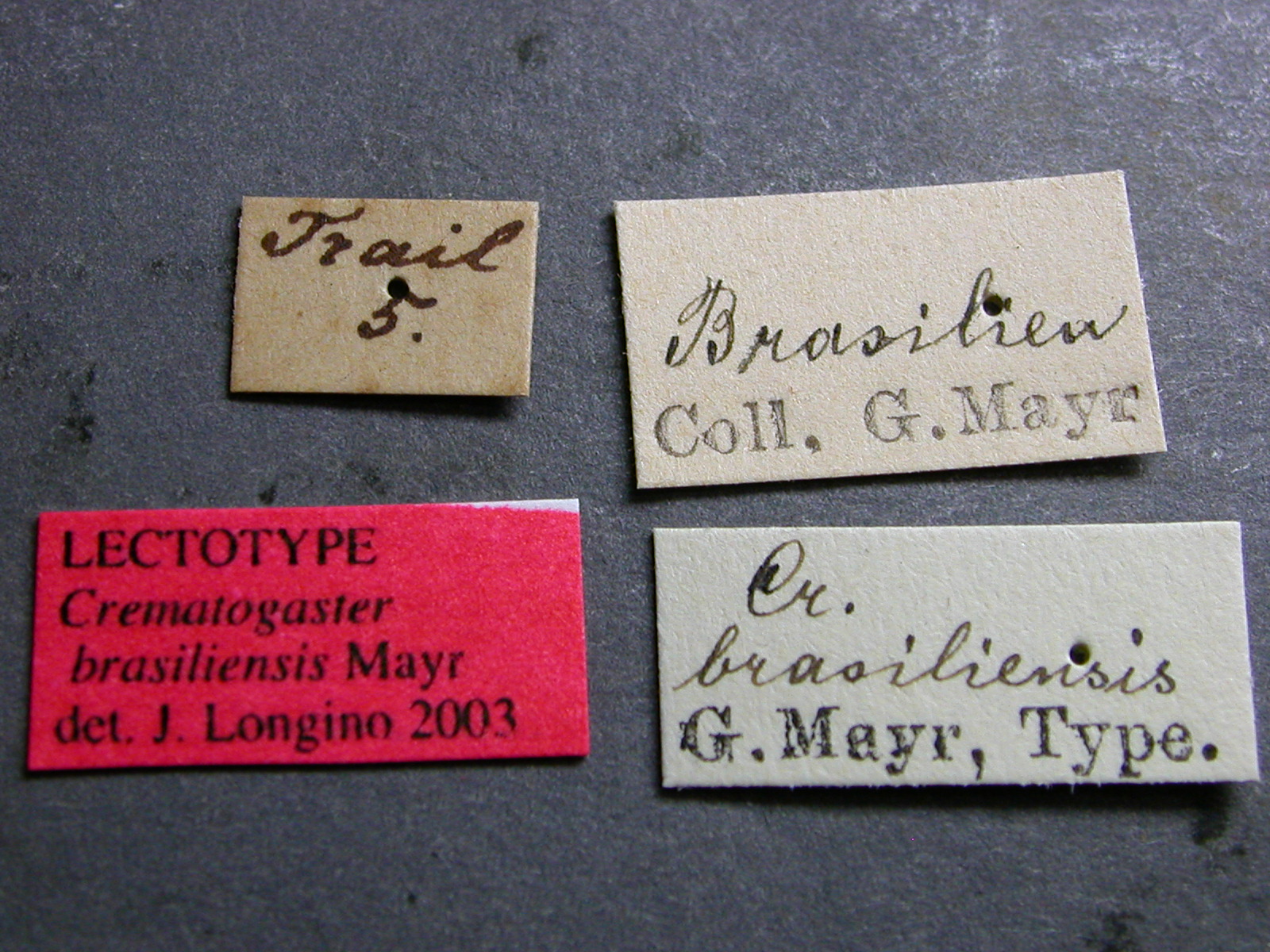 label