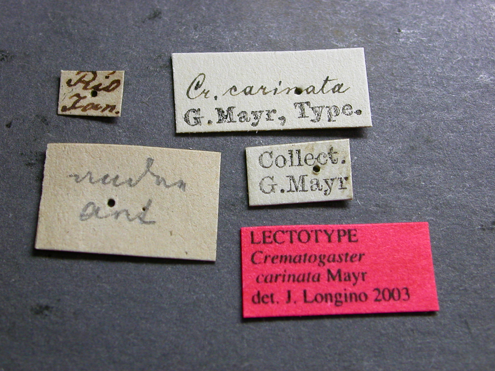 label