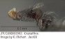 jtlc000002062_plat_orig