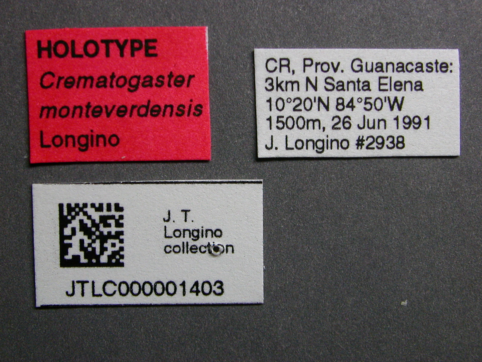 monteverdensis_label