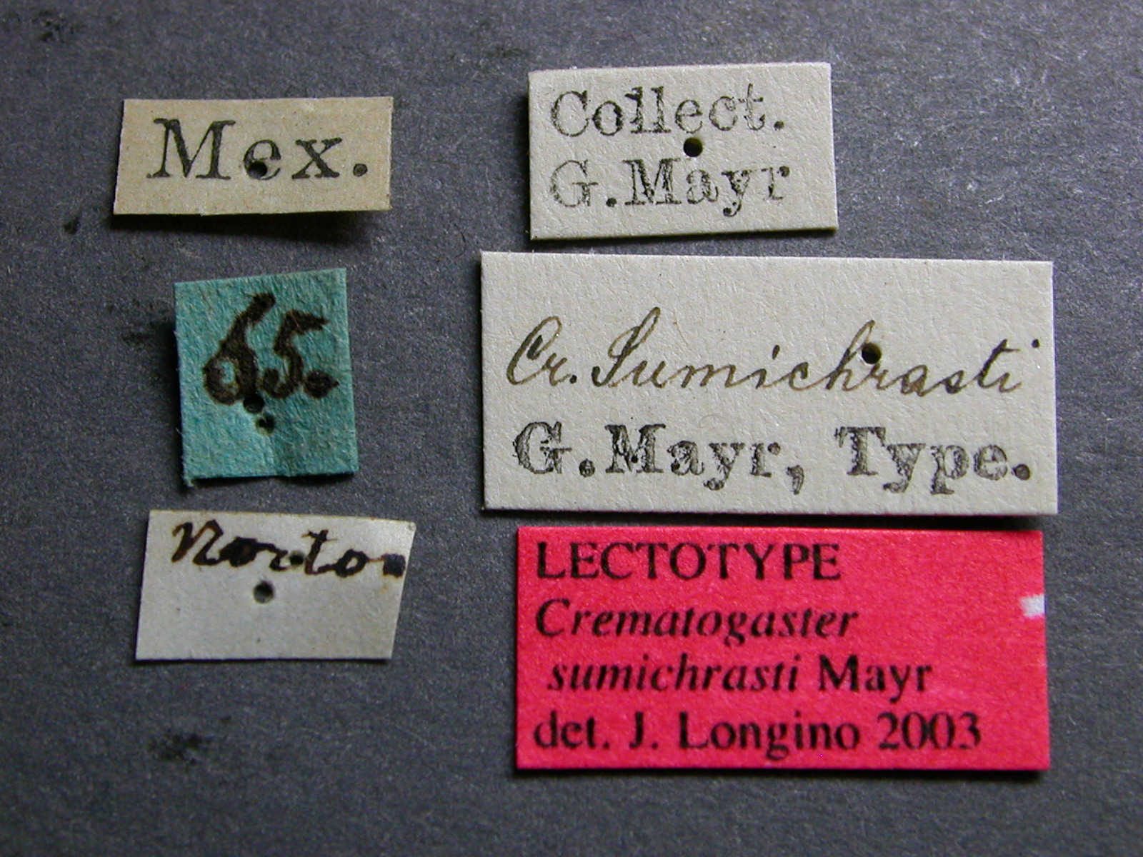 label